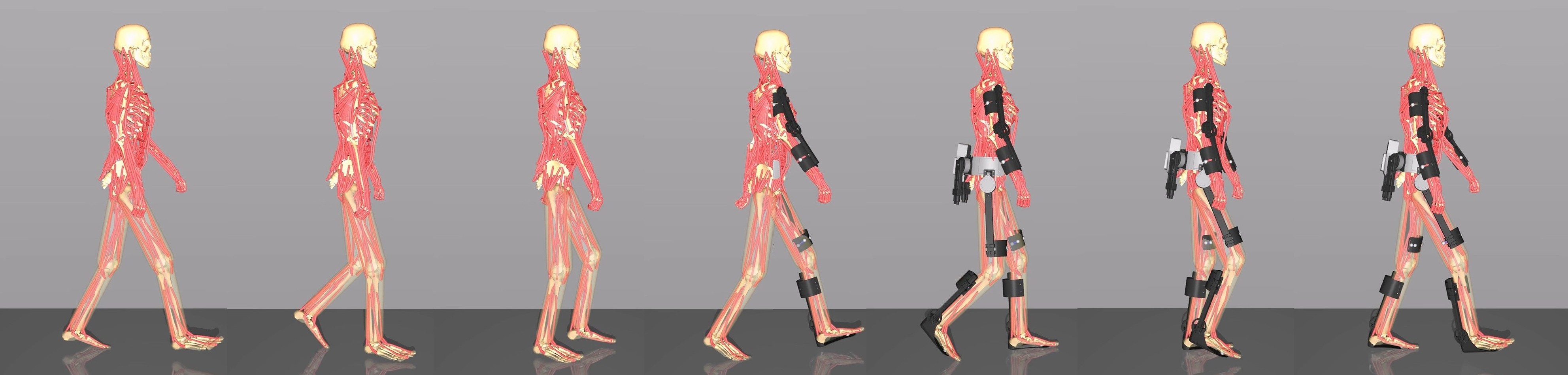 Interactive robotics simulation overview